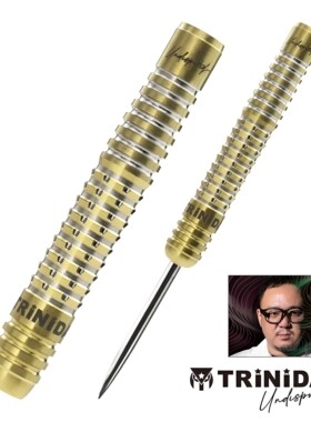 千里达RICARDO浅田齐吾钨钢飞镖