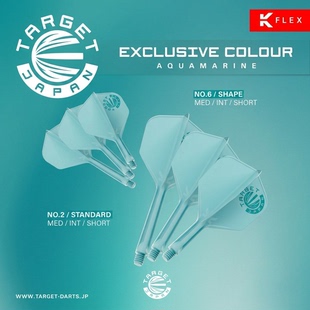 原装正品TARGET探极飞镖一体翼K-FLEX湖绿色logo N06/NO2大方小方