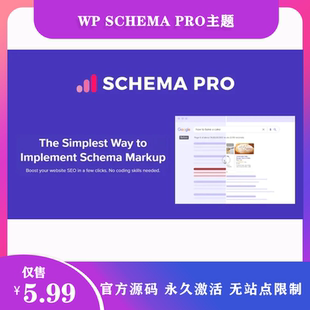 汉化中文自动化摘要标记自定义SEO Pro WordPress插件 Schema