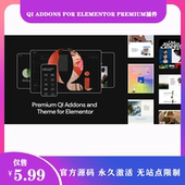 Addons 汉化中文版 For Elementor Premium 灵活强大 扩展插件