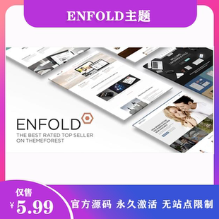Enfold 汉化中文版|多用途自定义商业商店WordPress企业主题模板