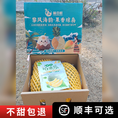 新鲜现摘海南三亚晓蜜25号哈密瓜