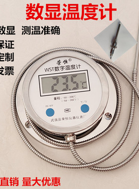 数显温度计带探头WST/DTM491带线高精度耐酸防水数字工业测水温表