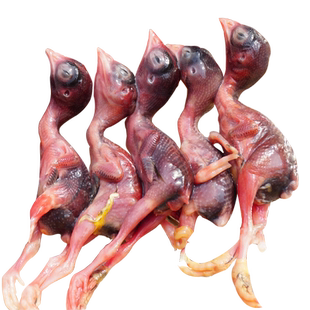 新鲜小鹌鹑肉冷冻乳嫩幼仔雏鸟现杀速冻肉类非冻干宠物零食生骨肉