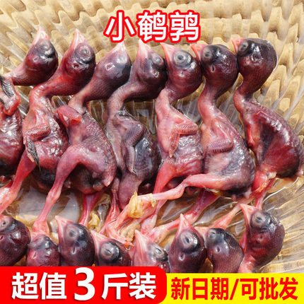 新鲜小鹌鹑肉冷冻乳嫩幼仔雏鸟现杀速冻肉类非冻干宠物零食生骨肉