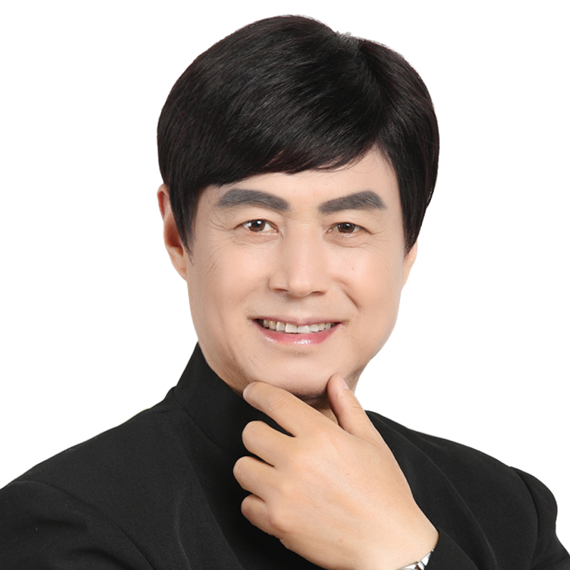 中老年男式真人发丝全手织短假发