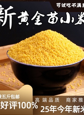 黄小米新米五斤黄金苗K1一小黄米农家粗粮小米月子米食用五谷杂粮