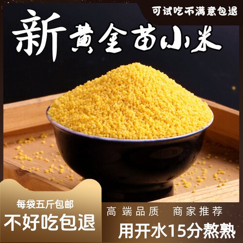 黄小米新米五斤黄金苗K1一小黄米农家粗粮小米月子米食用五谷杂粮