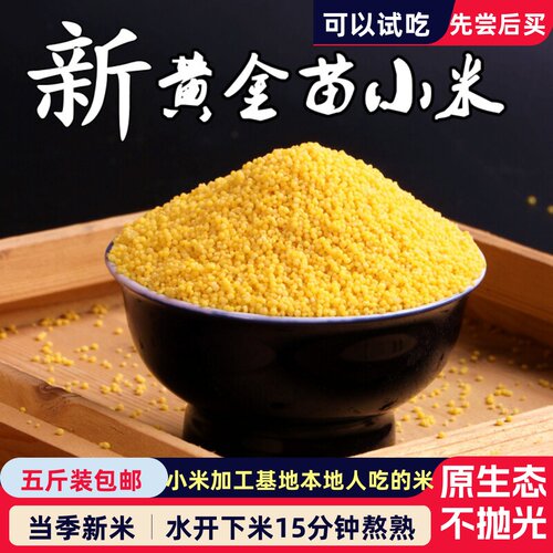 黄小米新米五斤黄金苗K1一小黄米农家粗粮小米月子米食用五谷杂粮