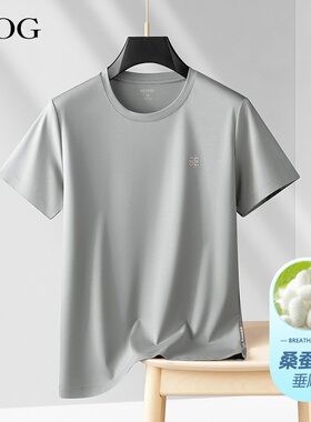 专业运动t恤男桑蚕丝短袖2026夏季新款休闲圆领户外速干衣凉感T恤