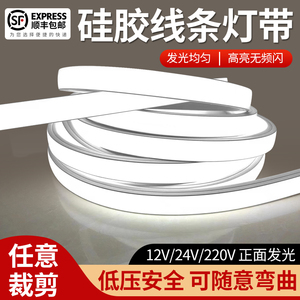 led柔性硅胶灯带条免穿软套管24V低压防水220V嵌入式线形灯带槽