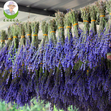 新疆伊犁天然薰衣草干花束鲜花礼盒家具客厅花瓶装 饰花粒香包熏香