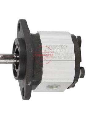 BREVINI齿轮泵OT200P14D/G28P2 OT200P08D/G28P2 OT200P14D液压泵