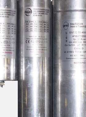 FRAKO电容器LKT15.5-480-DPK18-0622FRAKO LKT15.5-480-DP/plu