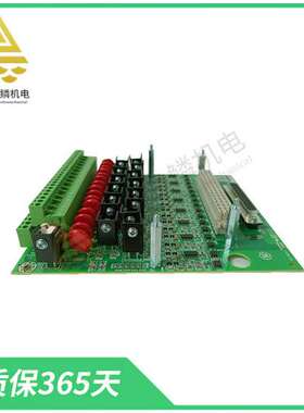 IC200ALG264J  | IS200VTURH2BAC  采用双宽面板