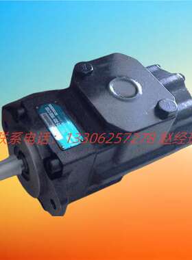 美国DENISON丹尼逊叶片泵T6DC 050 025 1R02 B1现货供应全新