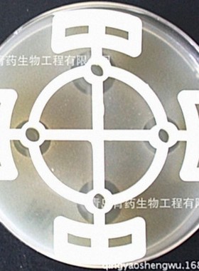 HB四连式牛津杯 HBPC001 青岛青药培养基