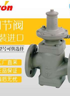 德国 Itron 气体调节阀 工业调节器 SSV 8500