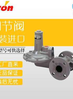 德国 Itron 气体调节阀 工业调节器 133 und 233