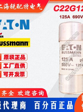 C22G125 陶瓷管保险丝 690V 125A 22x58 巴斯曼BUSSMANN熔断器