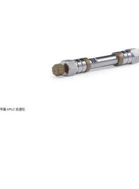 赛默飞25002-102130 Thermo Hypersil GOLD C18选择性HPLC色谱柱
