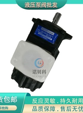 DENISON丹尼逊T6CC-020/022/025/031/017/005/010/012 2R01 C10