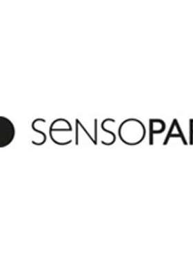 德国 SENSOPART 森萨帕特 传感器 光电开关等 KORH150-Q30KB-DPS