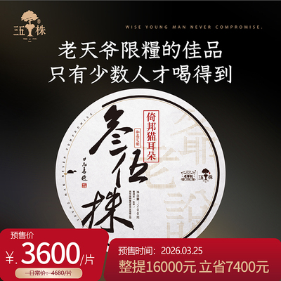 【老爷说不将就】2026年头春新茶叁伍株倚邦猫耳朵头春古树