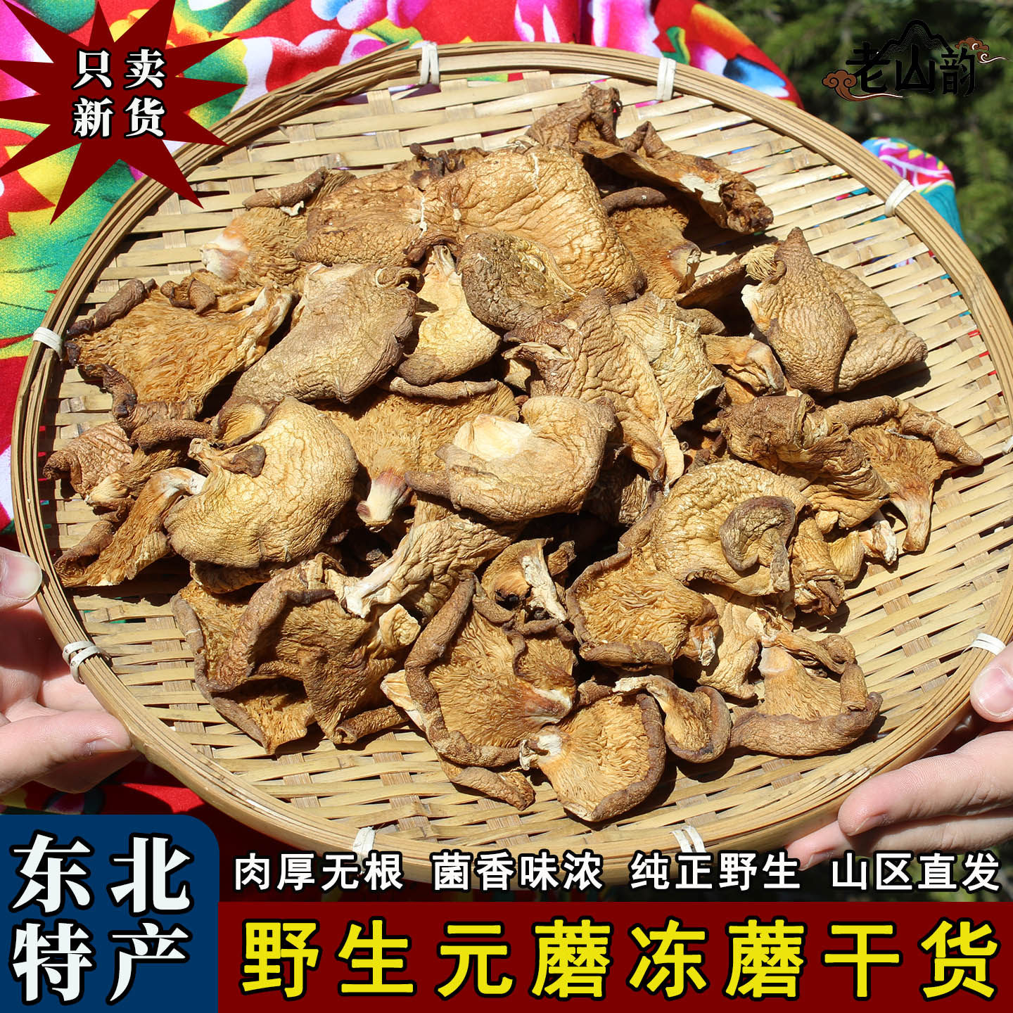 纯野生元蘑东北特产黄蘑冻蘑肉蘑干货冬菇油蘑小鸡炖蘑菇煲汤特级