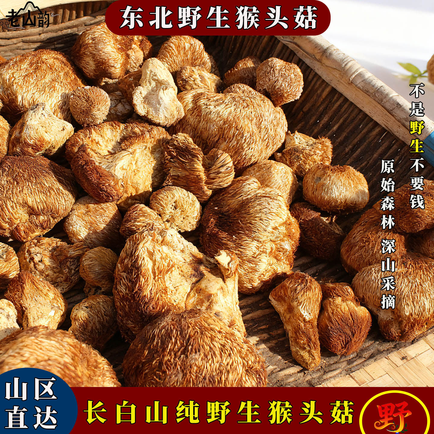 东北纯野生猴头菇干货煲汤米稀打粉养胃粉新鲜营养长白山天然蘑菇