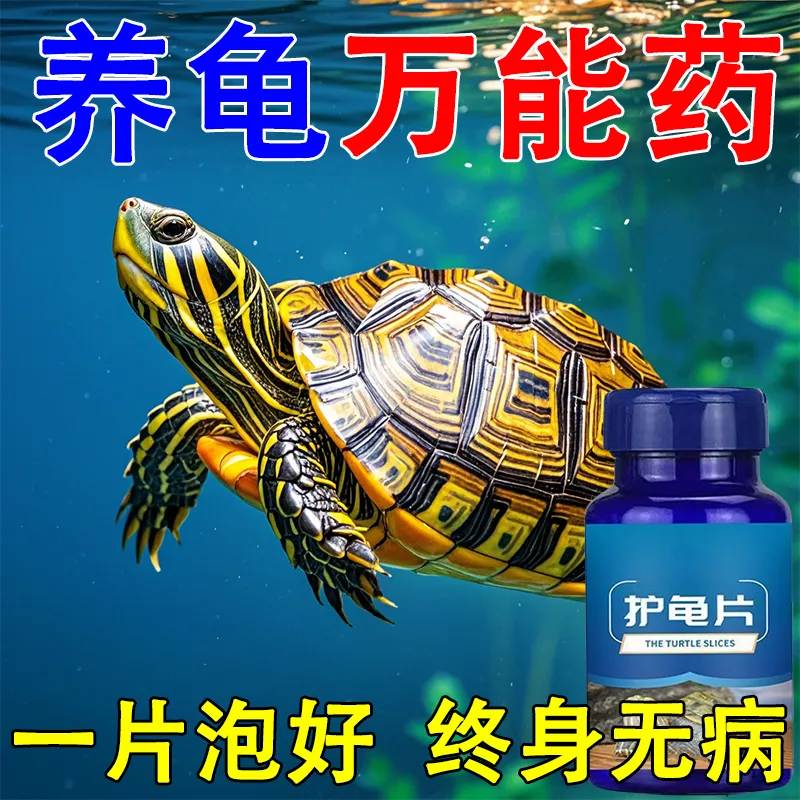 护龟片乌龟消毒片专治腐皮烂甲白眼病厌食净化水质杀菌宠物消毒液