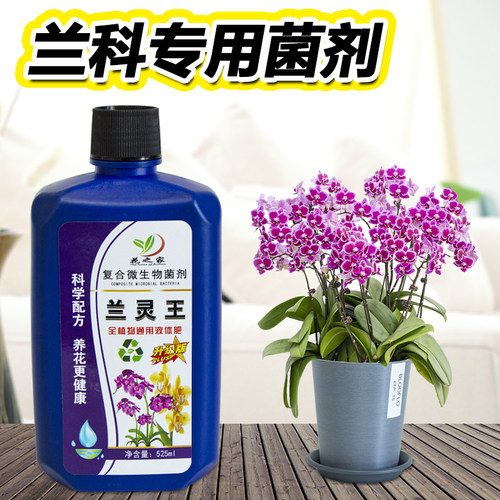 兰灵王兰花专用营养液微生物菌剂