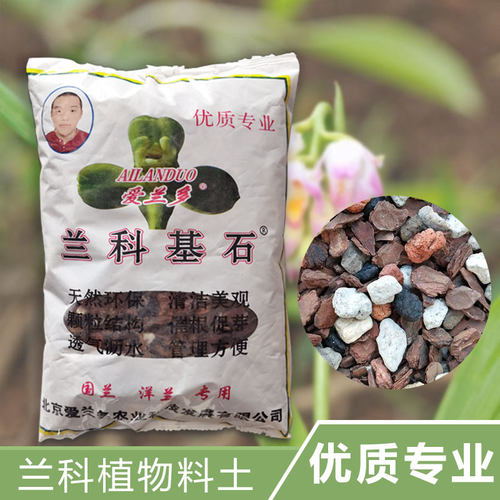 爱兰多兰科类沥水透气基石
