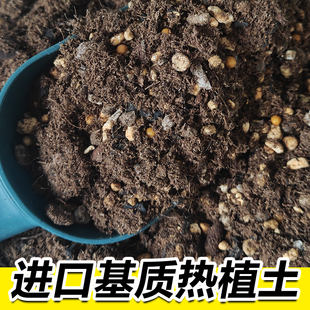 天南星科进口基质营养土室内植物竹芋海芋龟背竹秋海棠花烛热植土