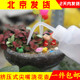 多肉壶多肉植物浇水器挤压式 尖嘴浇水器洒水壶植物浇花壶多用喷壶