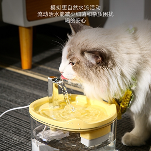 新款 静音宠物饮水机猫咪双重过滤活水自动饮水机智能喂水设备