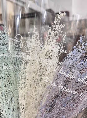 永生花翠扇绿灵草羽扇保鲜花迷你花束diy手工干花10g一份灰色调