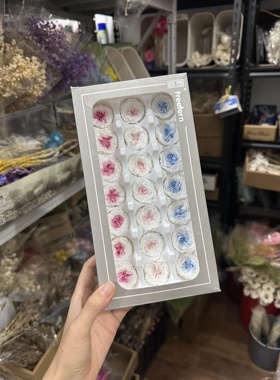 国产蝴蝶奥斯汀渐变玫瑰永生花4cm花材DIY不凋花A级B级花艺活动