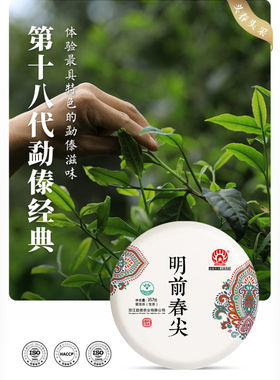 勐傣普洱生茶云南临沧头春生茶
