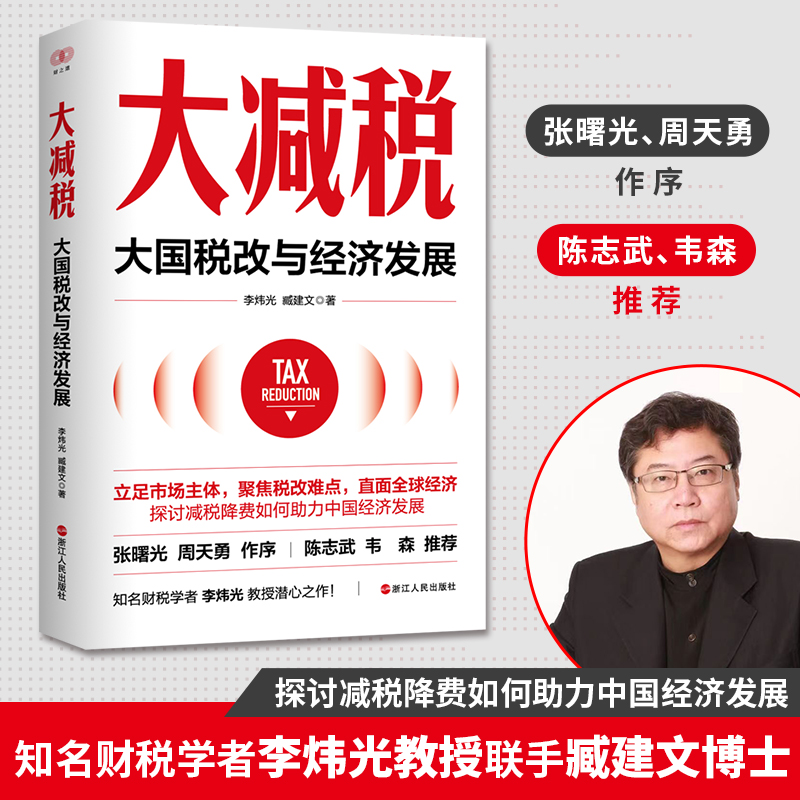 现货正版 大减税：大国税改与经济发展 知名财税学者李炜光教授潜心