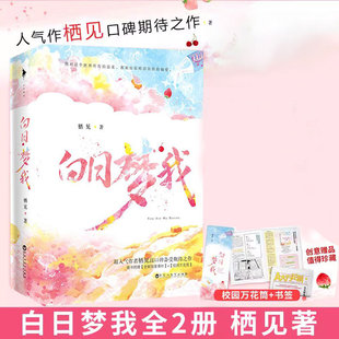 正版 庄达菲&周翊然主演原著小说 赠 栖见实体全套校园言情甜宠 现货 白日梦我 校园万花筒书签