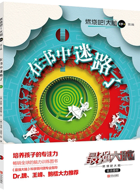现货正版 燃烧吧!大脑（4岁+）第1辑（在书中迷路了）马克 沃克著 引进比利时学前智力开发游戏书 儿童读物/教辅 益智游戏