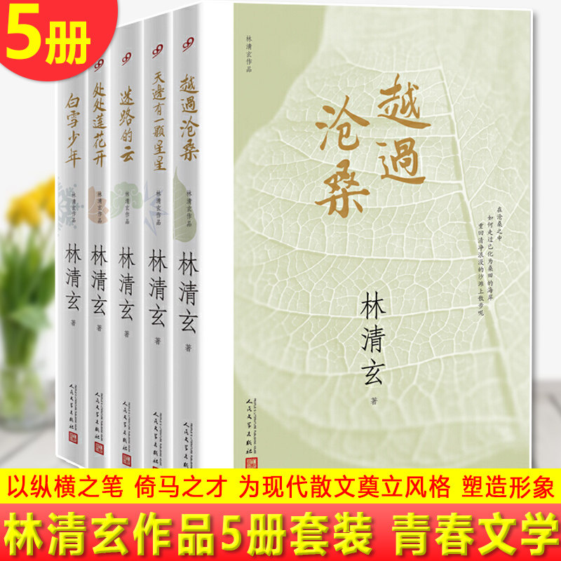 现货正版 林清玄作品 5册套装 当代著名散文家，连续十年被评为台湾十大畅销书作家，林清玄风格丕变，开创了新的里程碑 青春文学
