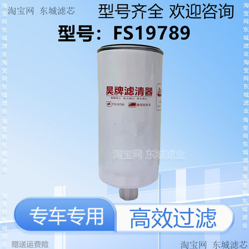 FS19789柴油滤芯适配东风天锦