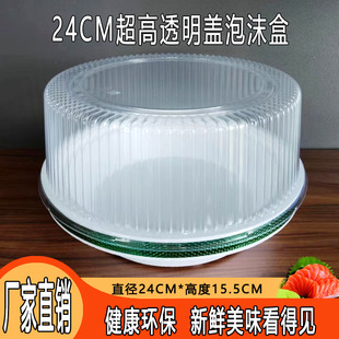 鱼生专用打包盒24CM泡沫底盘超高透明盖刺身姿造海鲜三文鱼外卖盒