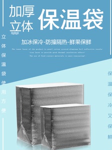 加厚立体铝箔保温袋海鲜水果打包