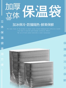 保温袋一次性加厚铝箔立体保暖保鲜防冻打包袋水果海鲜烧烤披萨