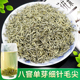 茉莉花茶毛尖2025新茶 八窨单芽茉莉小白毫细针小嫩芽500g铁罐装