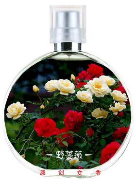吾岸游主任野蔷薇香水火爆网剧同款持久清新花香调傲冷气息自然