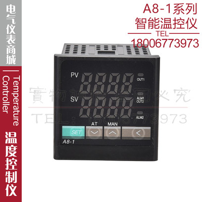 西崎温控仪A8-1Q1TC温控器测温表